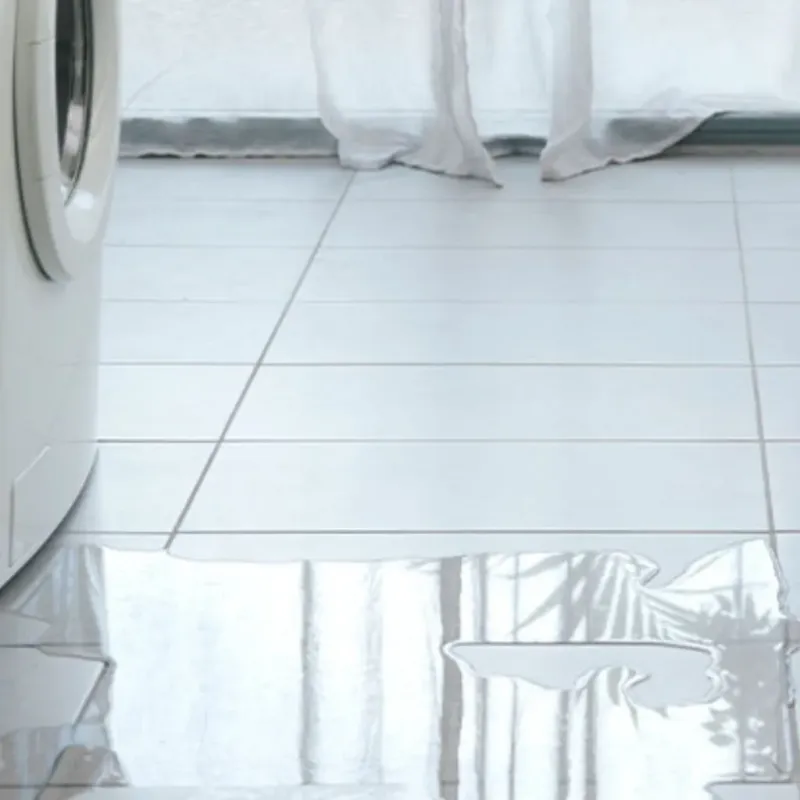 Appliance Leak Cleanup in Erick, OK