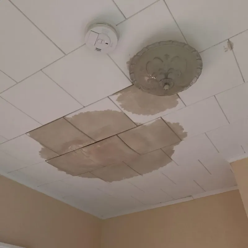 Ceiling Water Damage Repair in Erick, OK
