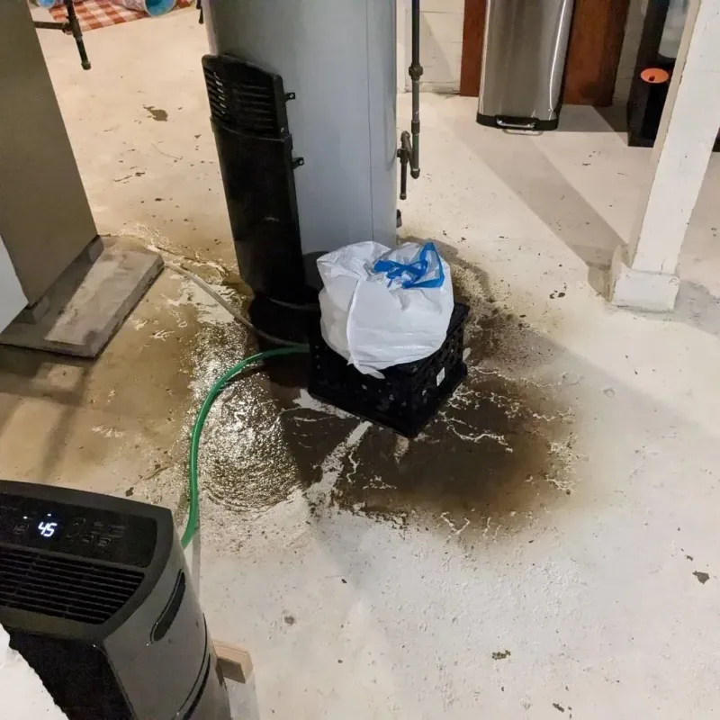 Sewage Backup Cleanup Service in Erick, OK